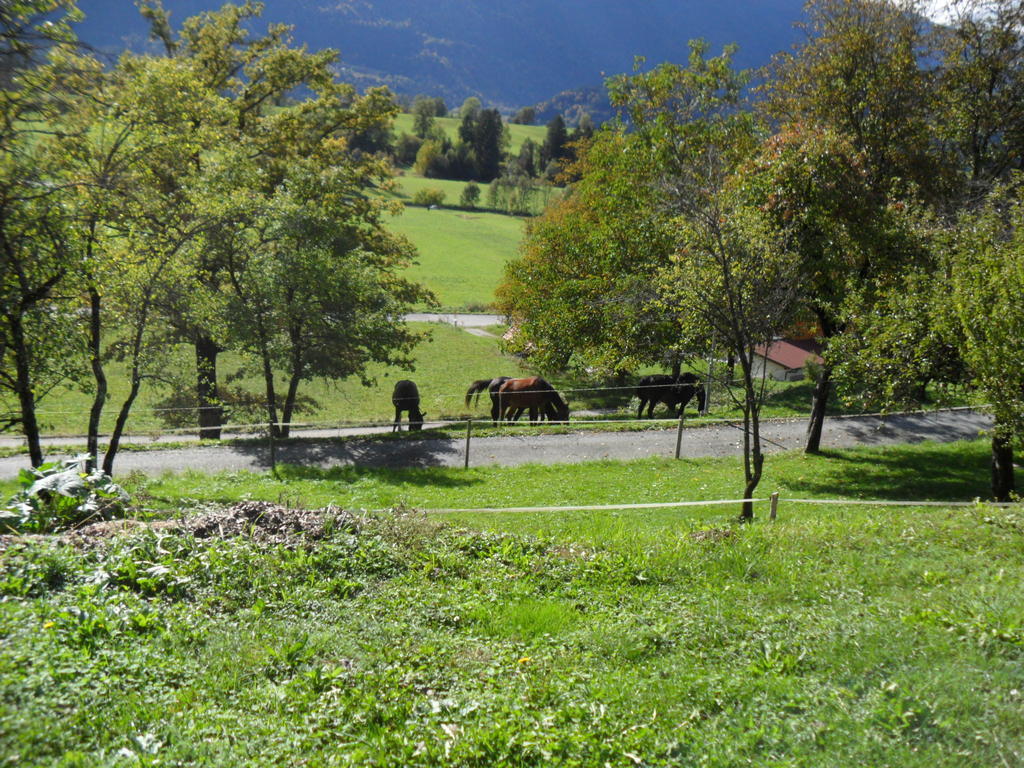 Ferienhaus Warmuth Sankt Stefan an der Gail Exteriér fotografie